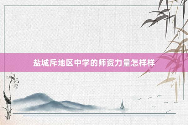 盐城斥地区中学的师资力量怎样样